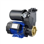 ปั๊มต่อพ่วง Self Priming